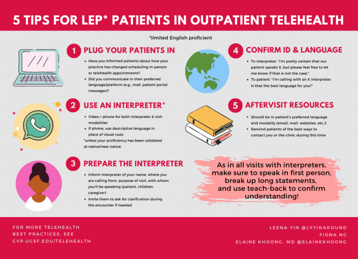 Use of Interpreters and Non-English Instructions for Telemedicine