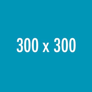 300x300